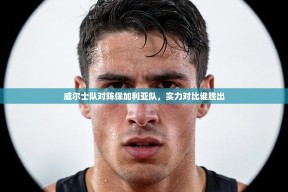 威尔士队对阵保加利亚队，实力对比谁胜出