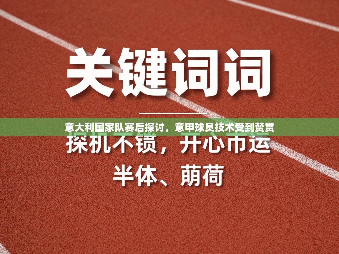 意大利国家队赛后探讨,意甲球员技术受到赞赏 第2张